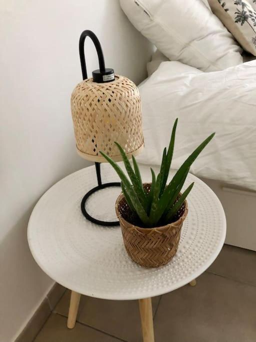 Studio Cosy, Lyon, Avec Garage Prive 外观 照片